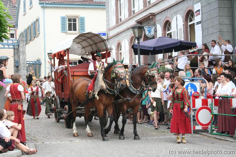 IMG_6425 