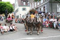 IMG_6308 