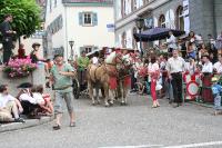 IMG_6327 