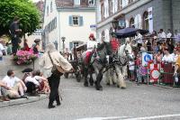 IMG_6334 
