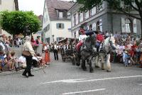 IMG_6335 