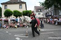 IMG_6413