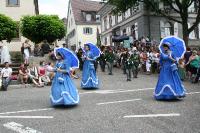 IMG_6555 