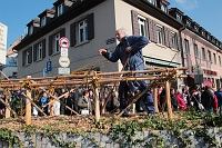 IMG_0601