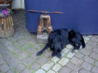 PICT0096 